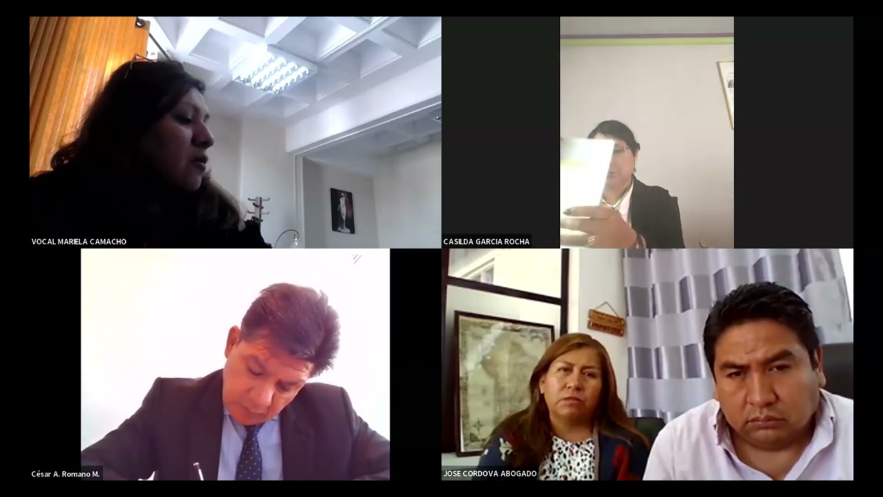 Audiencia de Apelación