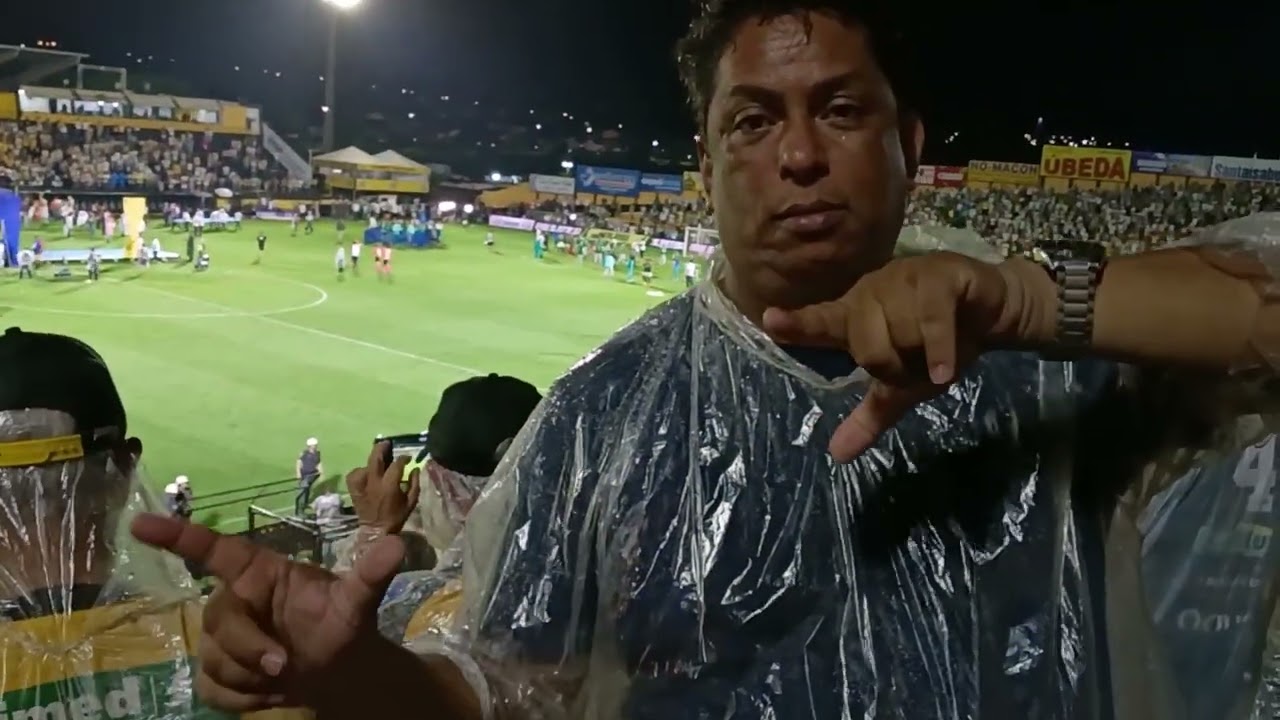 Palmeiras Campeão Paulista 2026