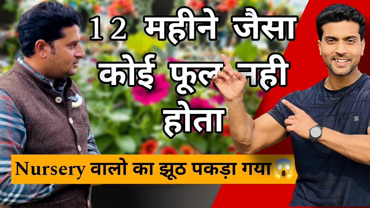 2026 में Beginner Plant Lovers के लिए सबसे Best Video | Nursery की सच्चाई😱😱😱