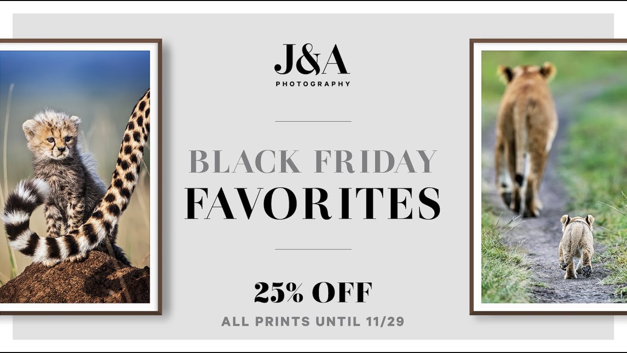 Our Favorite Photographs from the Black Friday Sale... Now Available at 25% OFF!