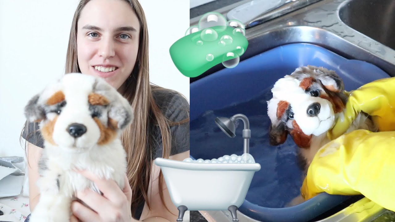 How to Remove Mold & Mildew Smells From Plush Toys | feat. Webkinz Signature Aussie