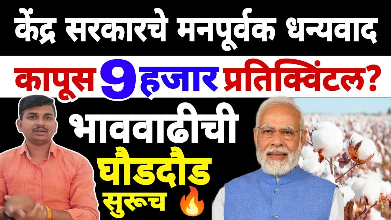 कापूस भाव वाढीची घोडदौड सुरूच | Dnyaneshwar Kharat Patil