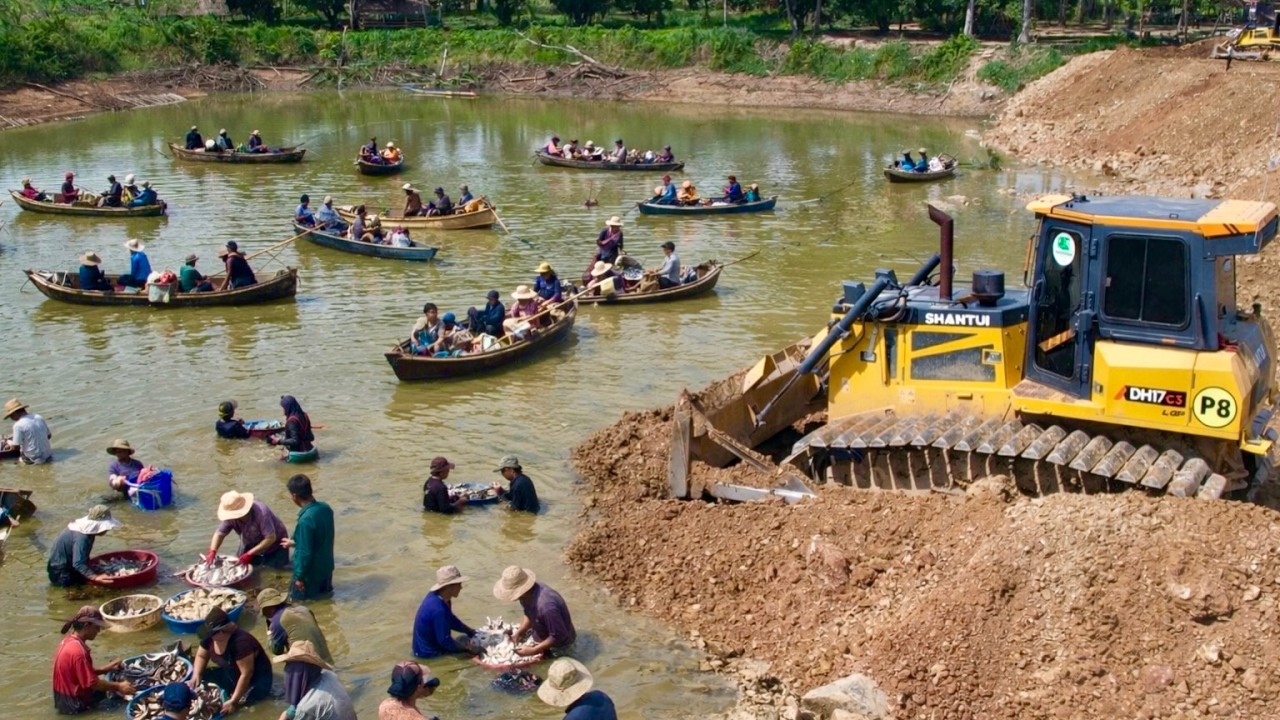 Wonderful Machinery Bulldozer and Dump Truck Operator with Strong Power Skill at Construction 