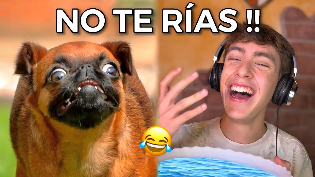 INTENTA NO REÍRTE #8 *con agua*