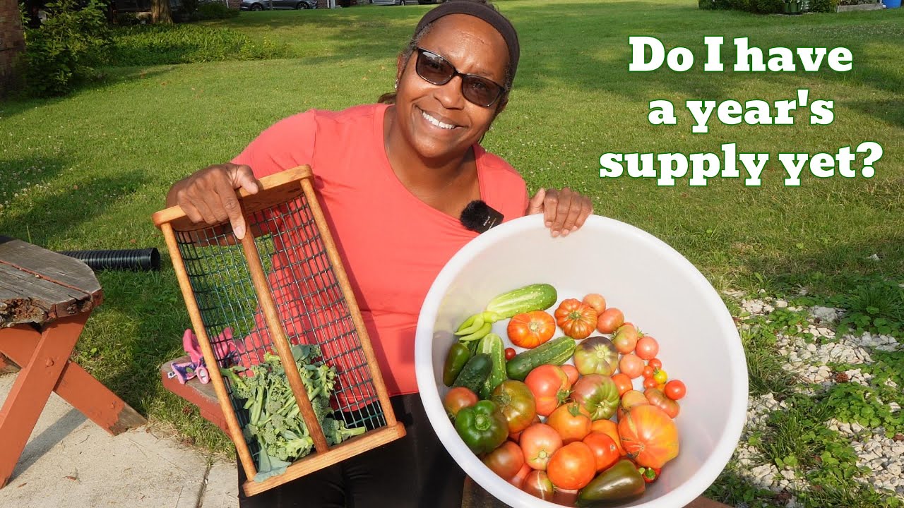 Working on a year's supply of vegetables