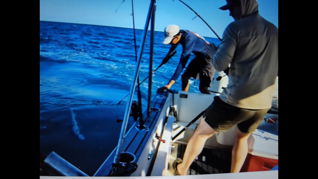 CATCH CLEAN COOK BELIZE PLACENCIA