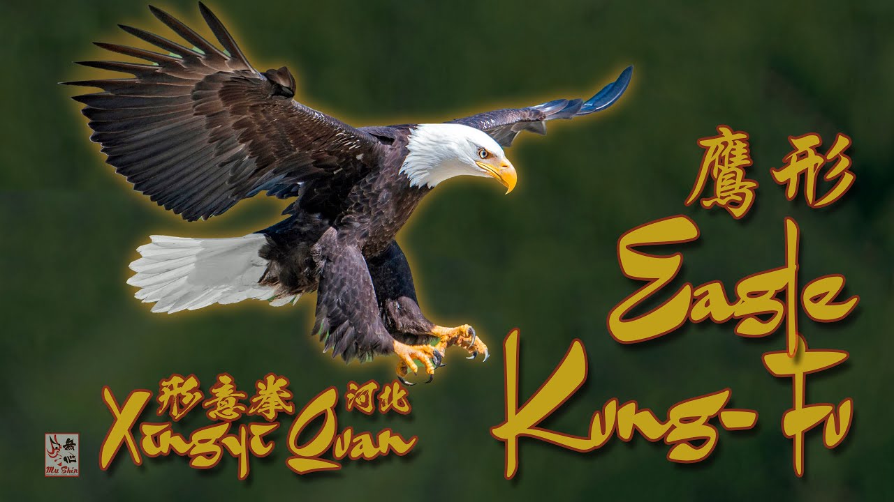 Eagle Style Kung-Fu - Xingyi Quan Eagle Shape - A Brief Glimpse 形意拳鷹形 #fightingstyles #eaglestyle