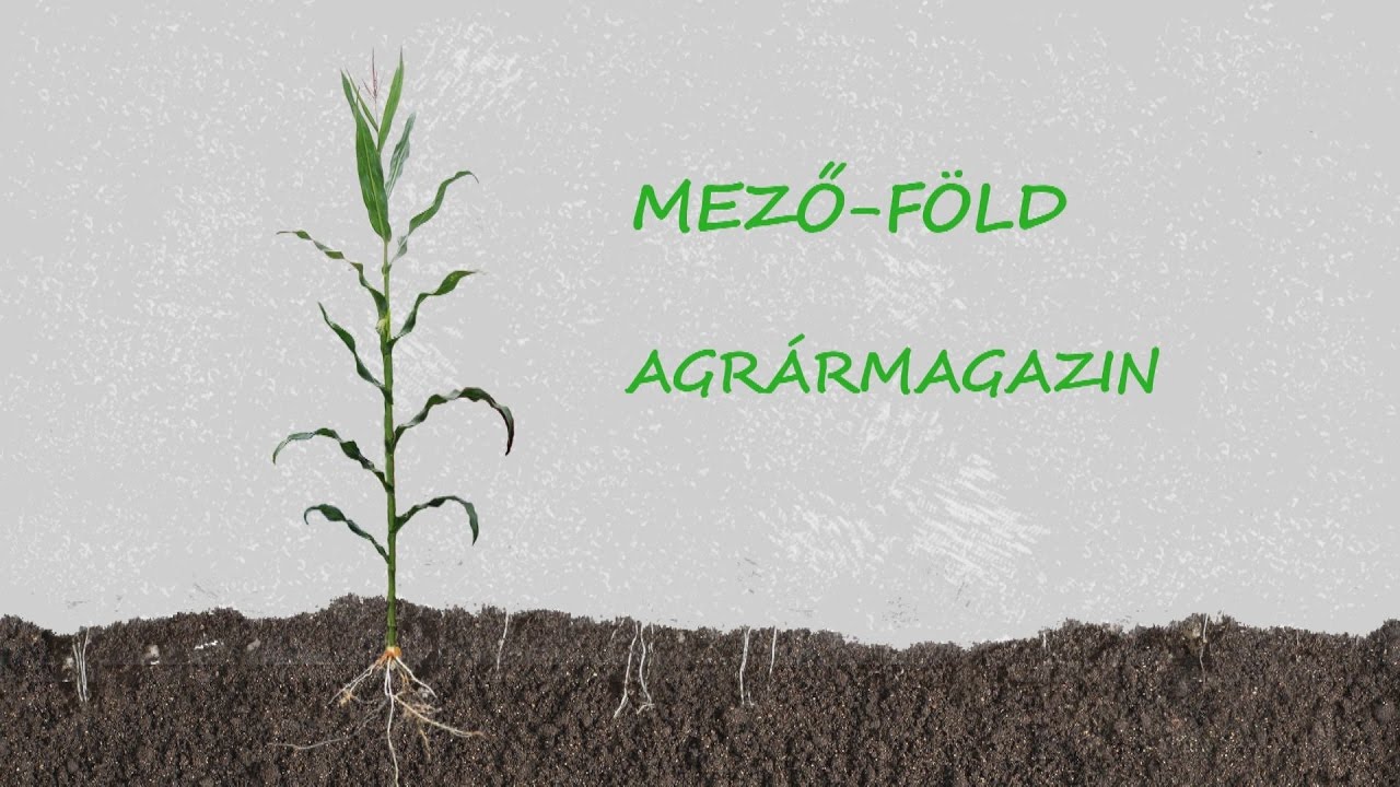 Mező-Föld mezőgazdasági magazin 2016.09.30.