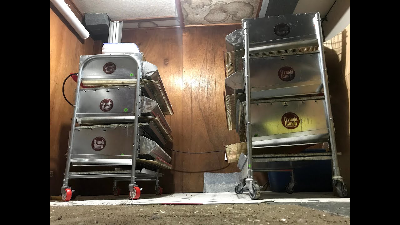 6 tier quail cage Eggs Production