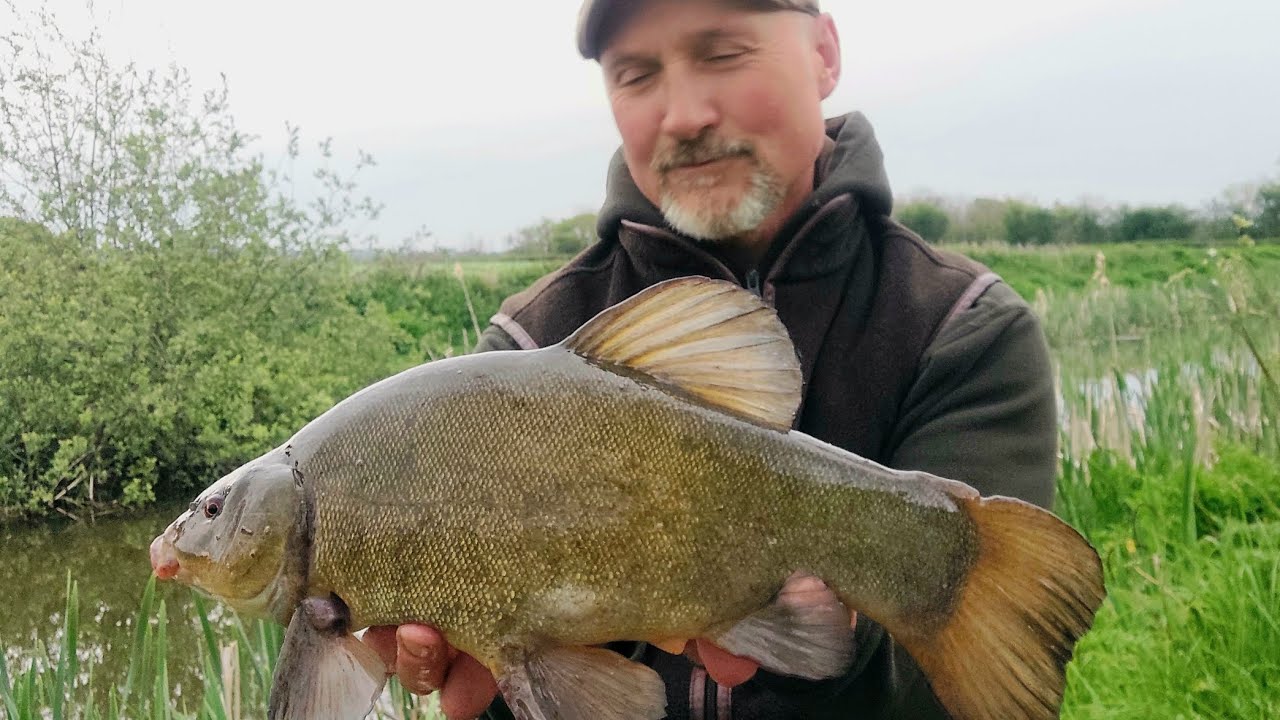 Nature along the canal,  Followed by a red letter evenings tench fishing!