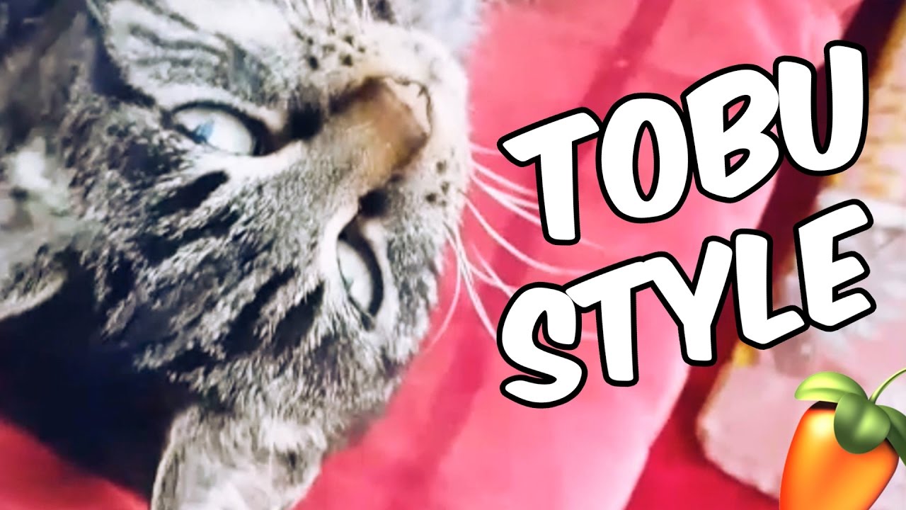 HOW TO MAKE A TRACK LIKE TOBU