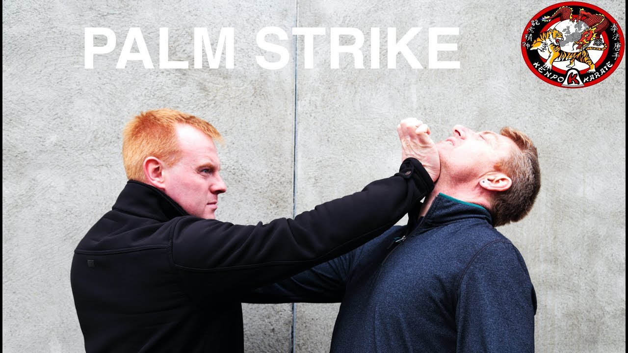 How Affective Is The Palm Strike For Self-Defense