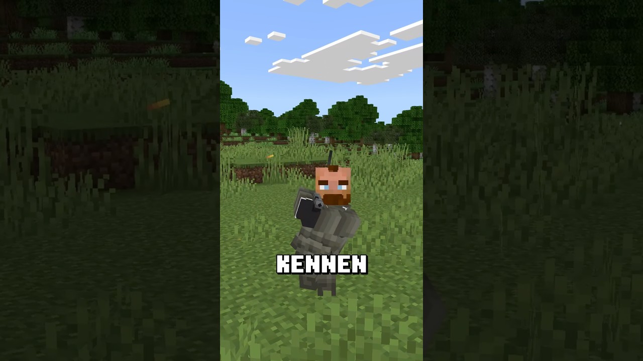 TOP 5 Bedrock Add-ons! Teil 13 #minecraft #minecraftaddons #minecraftdeutsch
