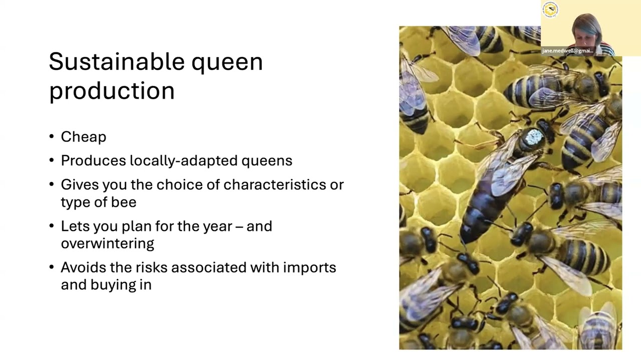 'Small Scale Queen Rearing' with Jane Medwell 17th June 2025