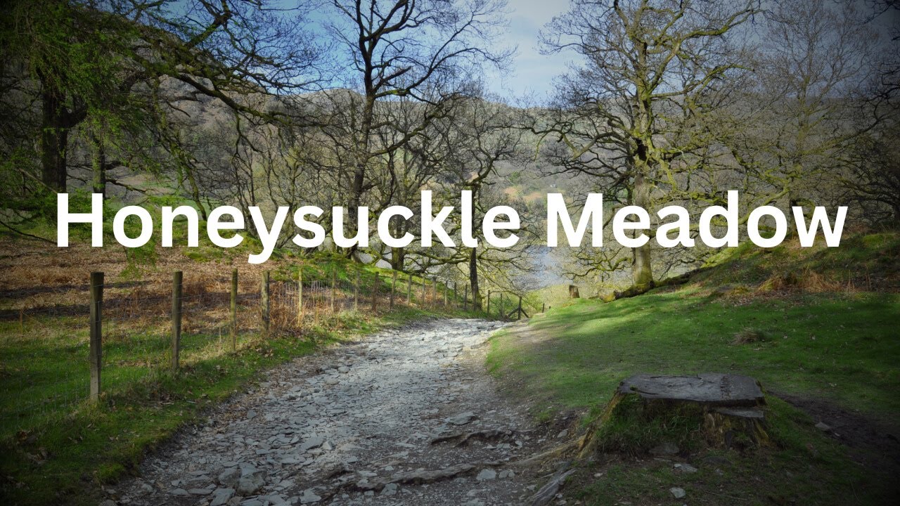 Springtime Walk in Honeysuckle Meadow