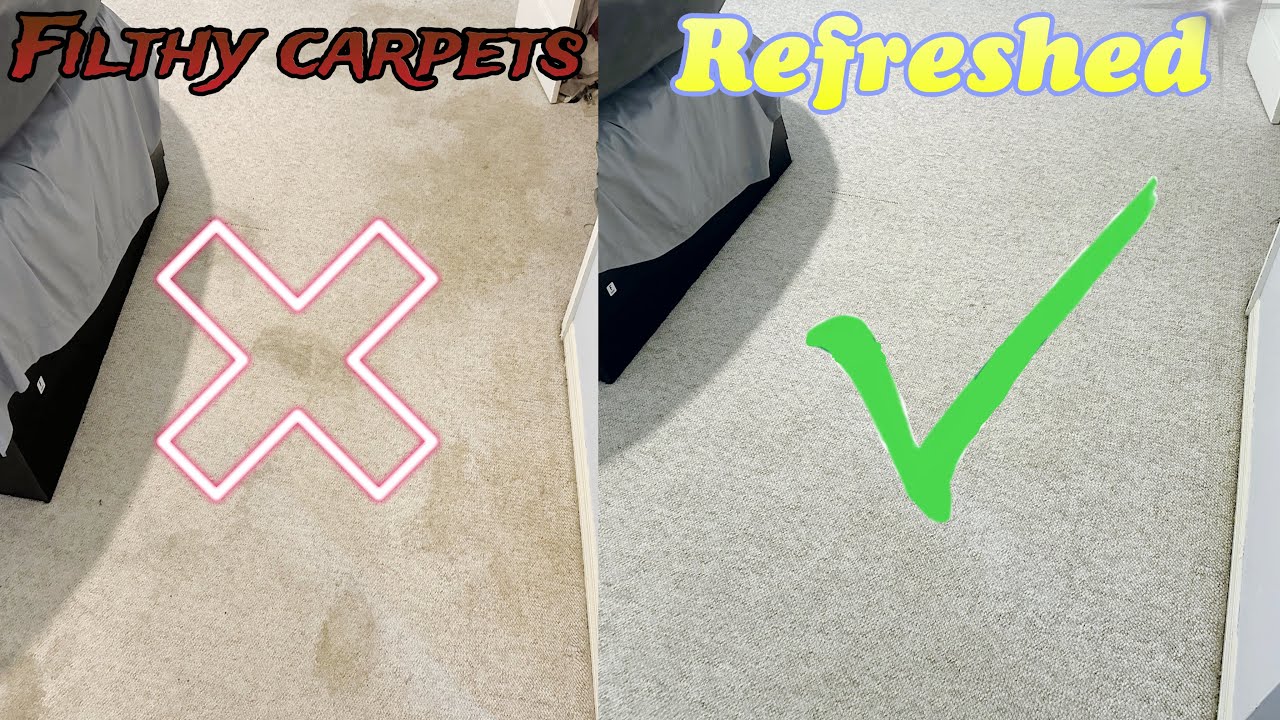 Berber Carpet Cleaning in Winter Park, FL | Area Rug & Brown Carpet Deep Clean | 4K Satisfying ASMR