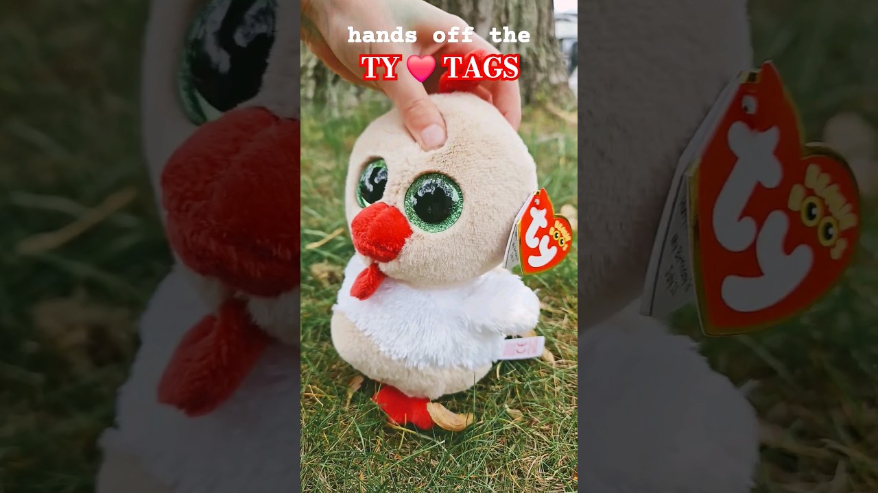 NEWEST EXCLUSIVE Beanie Boo 🐔 Early Bird Rooster #shorts #new #beanieboos #seveneleven #711 #fypシ