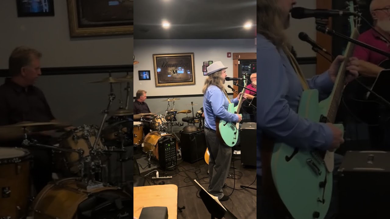 One Trick Pony - Paul Simon (performed by The One Trick Ponies - Paul Simon tribute)