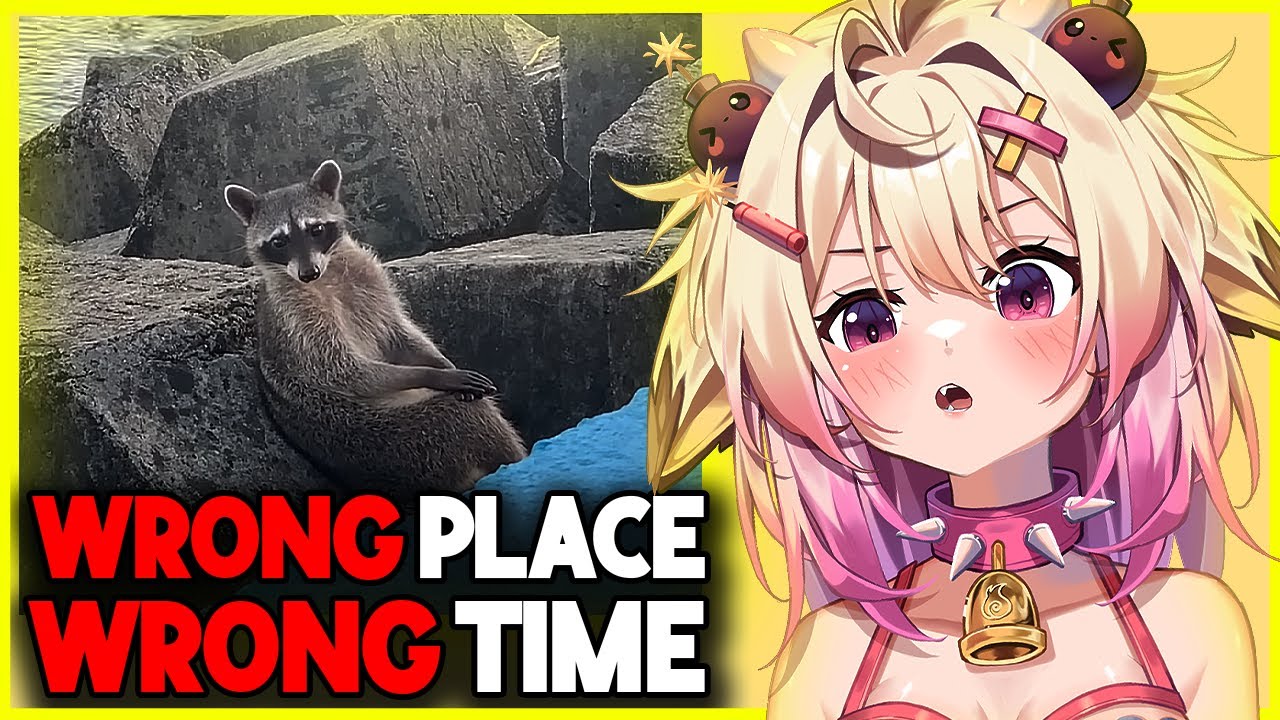 Wrong Place Wrong Time | Daily dose of Internet