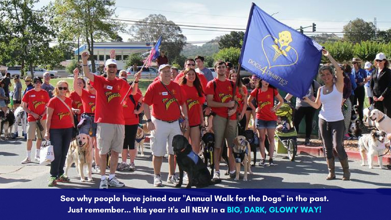 Dogs4Diabetics