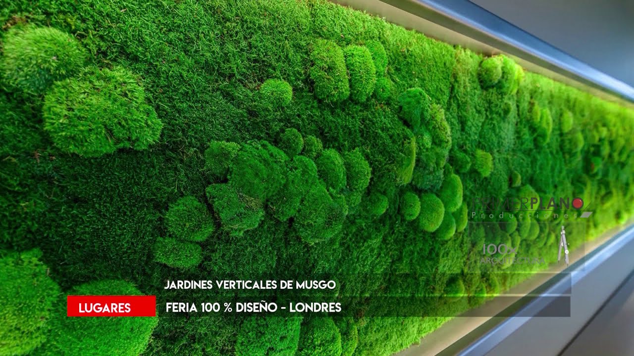 JARDINES VERTICALES DE MUSGO estabilizado