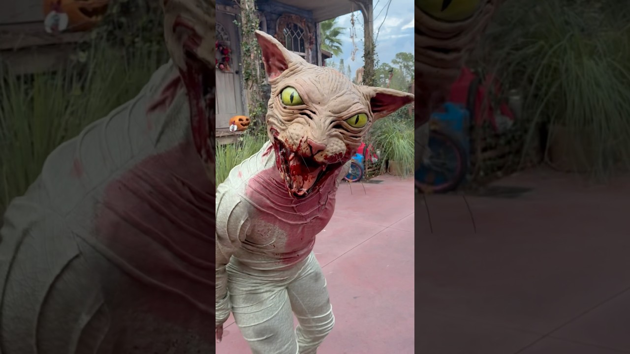 Cat Lady of Crooked Lane SCARE ZONE at Halloween Horror Nights | #HHN34