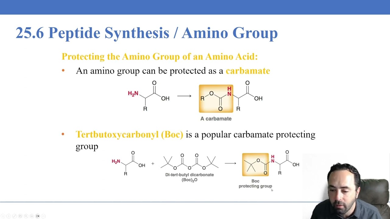 Lecture 13.3 Peptide Synthesis and Protein Structure and Function
