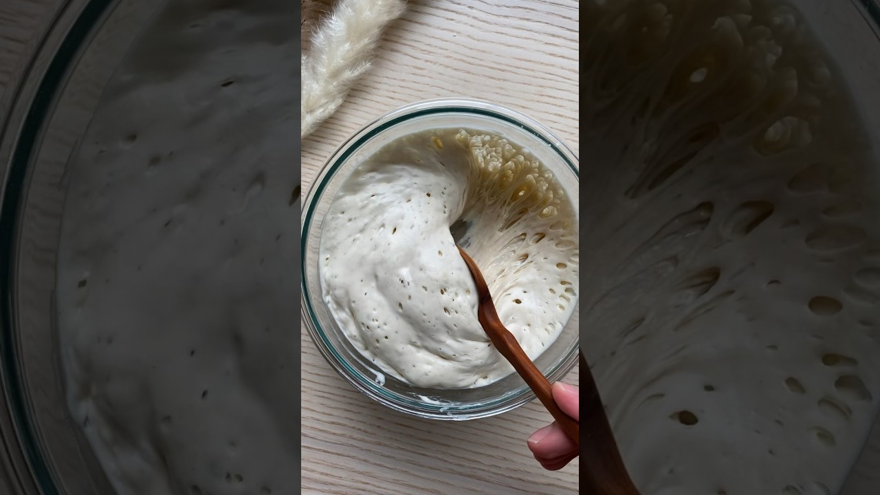 Sourdough starter ✨