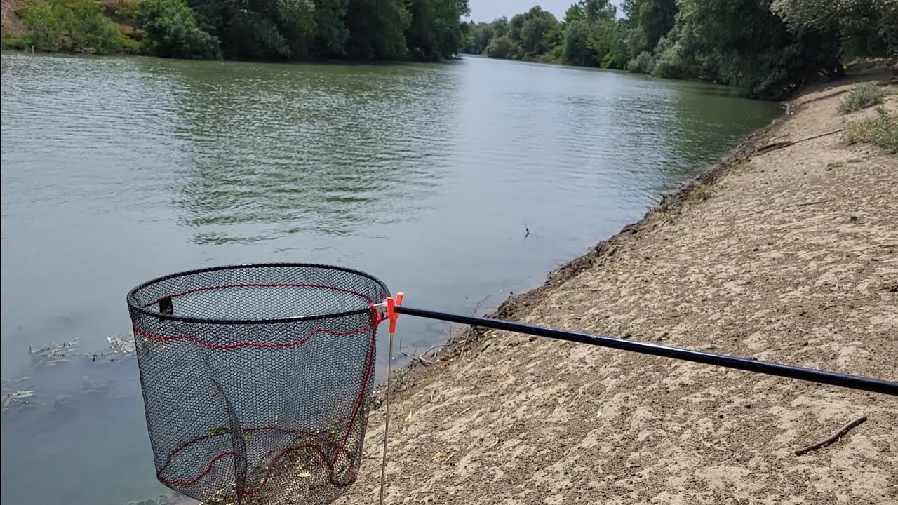 Pescuit pe vânt puternic. Timișul crescut de la atâtea ploi, cu iarba multă, vizez fitofagul!