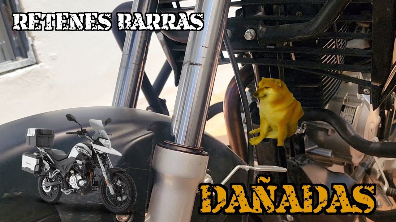 Cuándo reemplazar retenes barras | barras fuga aceite | Cómo cambiar retenes barra moto Italika v200