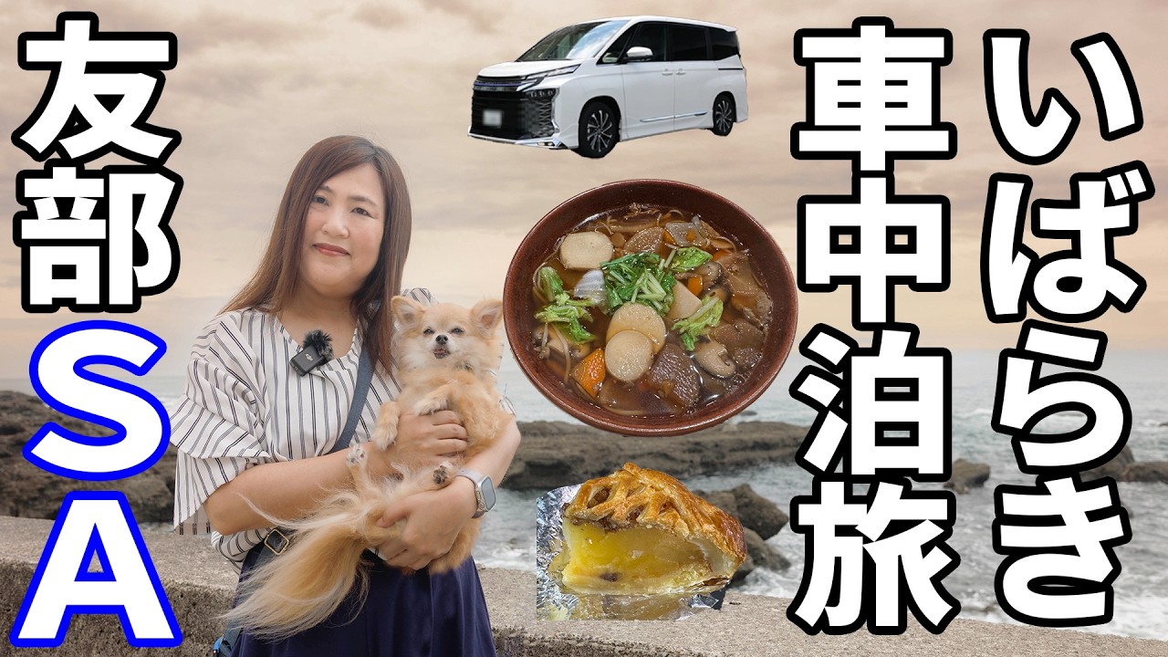 いばらき車中泊の旅へ！！友部SAの絶品けんちん汁とアップルパイを満喫