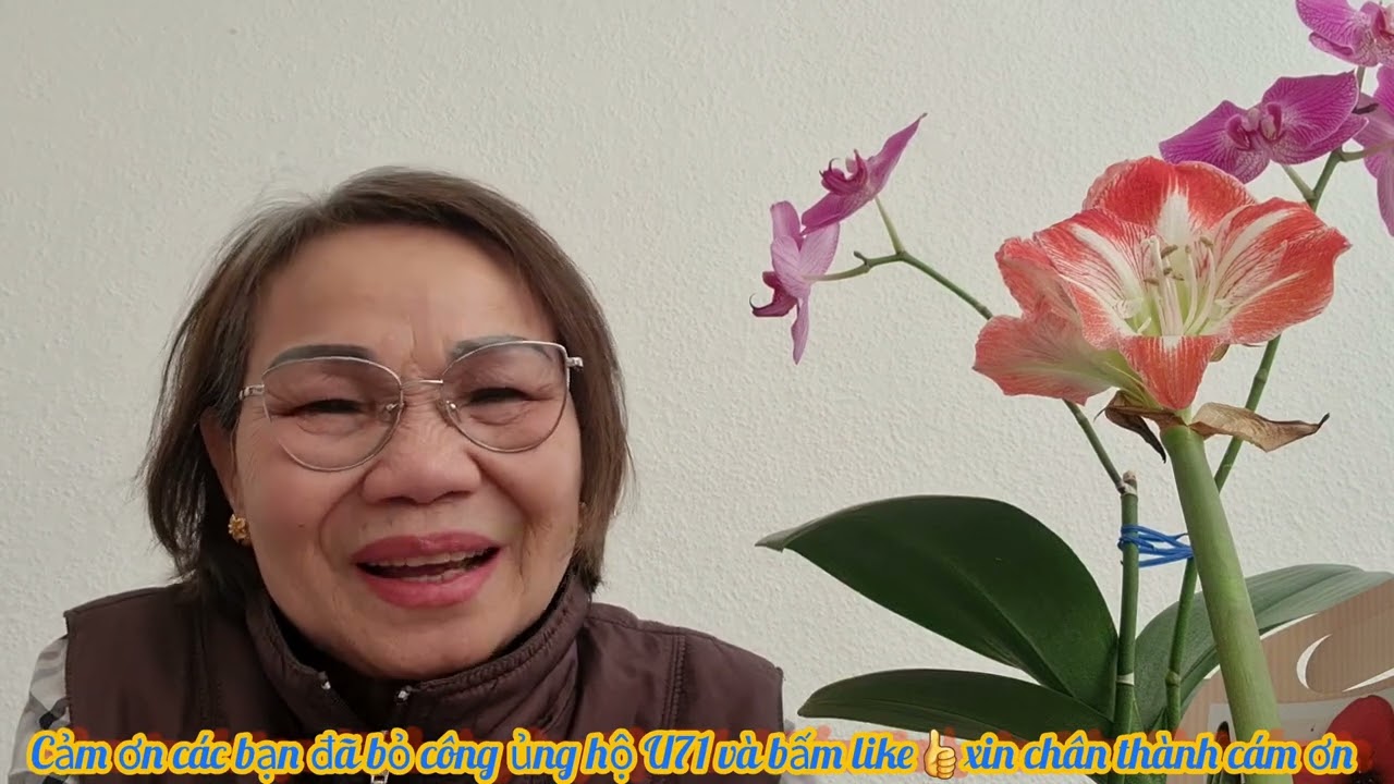 TIN MỚI NHẤT CỦA ĐỨC, KHOA PUG NGAO MẠN TRẮNG TAY, TƯ HAO N ĐỨC AN NINH, KHANH NGUYEN CUỘC SỐNG ĐỨC 