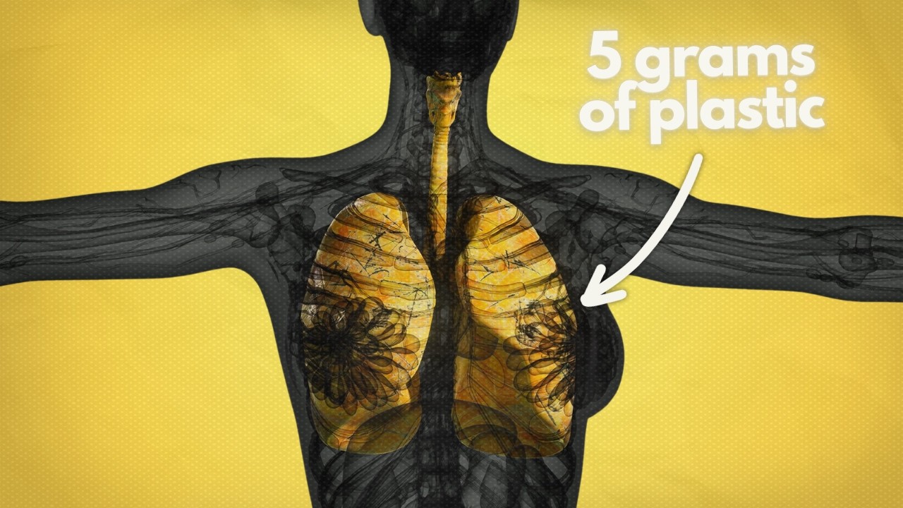 Why You Have Plastic In Your Lungs