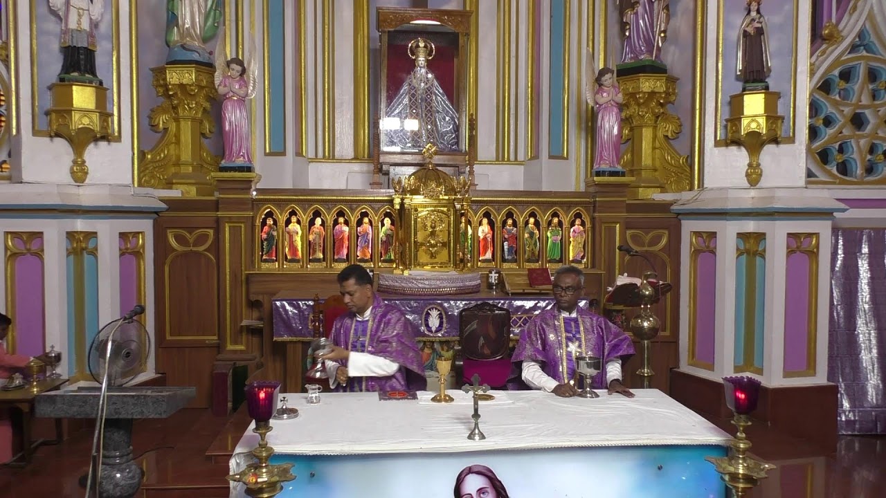 ༺♰༻ 🅛🅘🅥🅔 𝑽𝒂𝒅𝒂𝒗𝒂𝒊 𝑷𝒂𝒓𝒂𝒍𝒐𝒈𝒂 𝑴𝒂𝒕𝒉𝒂 - Daily Mass in Tamil -  2025 - திருப்பலி