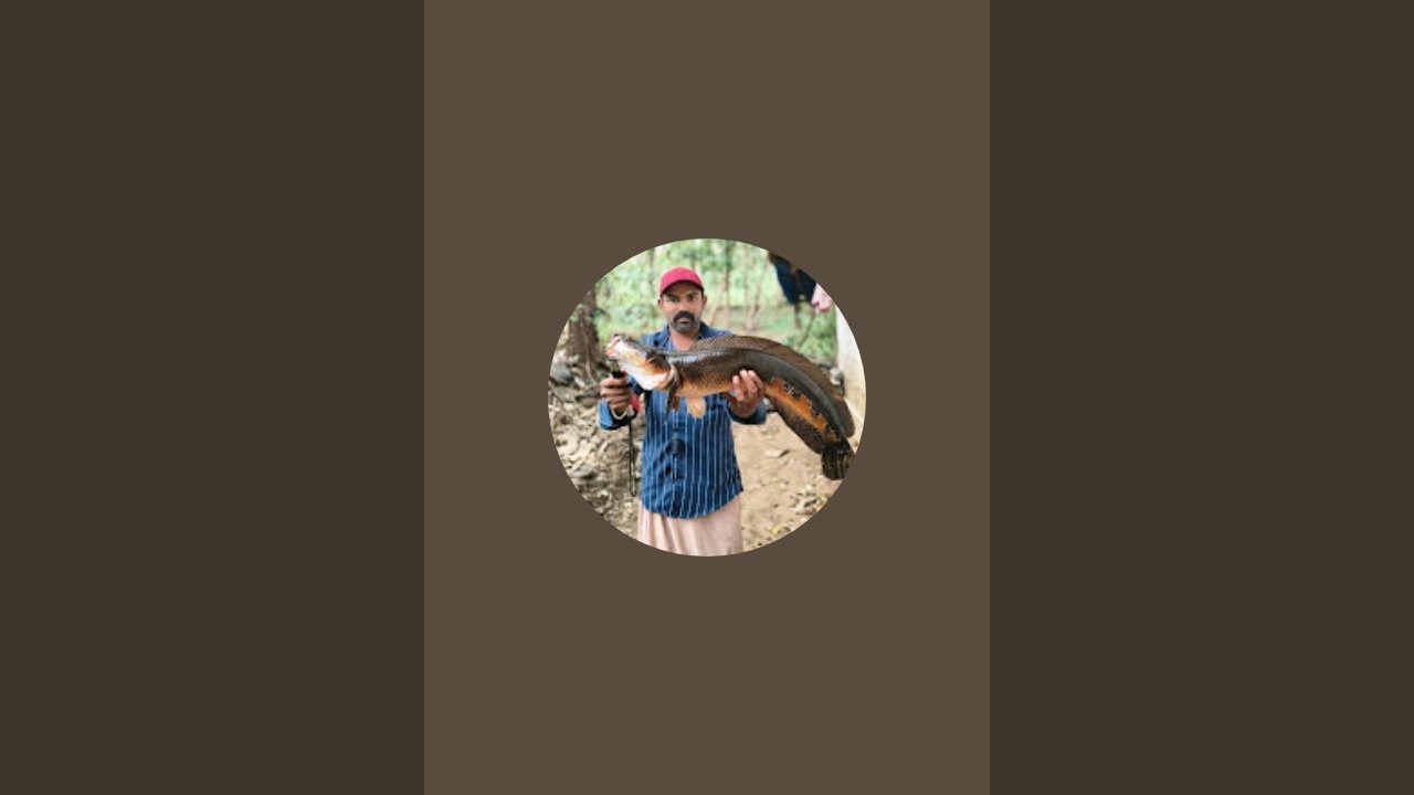 VEDAN FISHING vedan fishing  is live