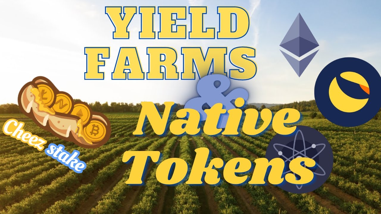 DeFi - Yield Farming & Native Tokens 🧑&zwj;🌾🚜🪙