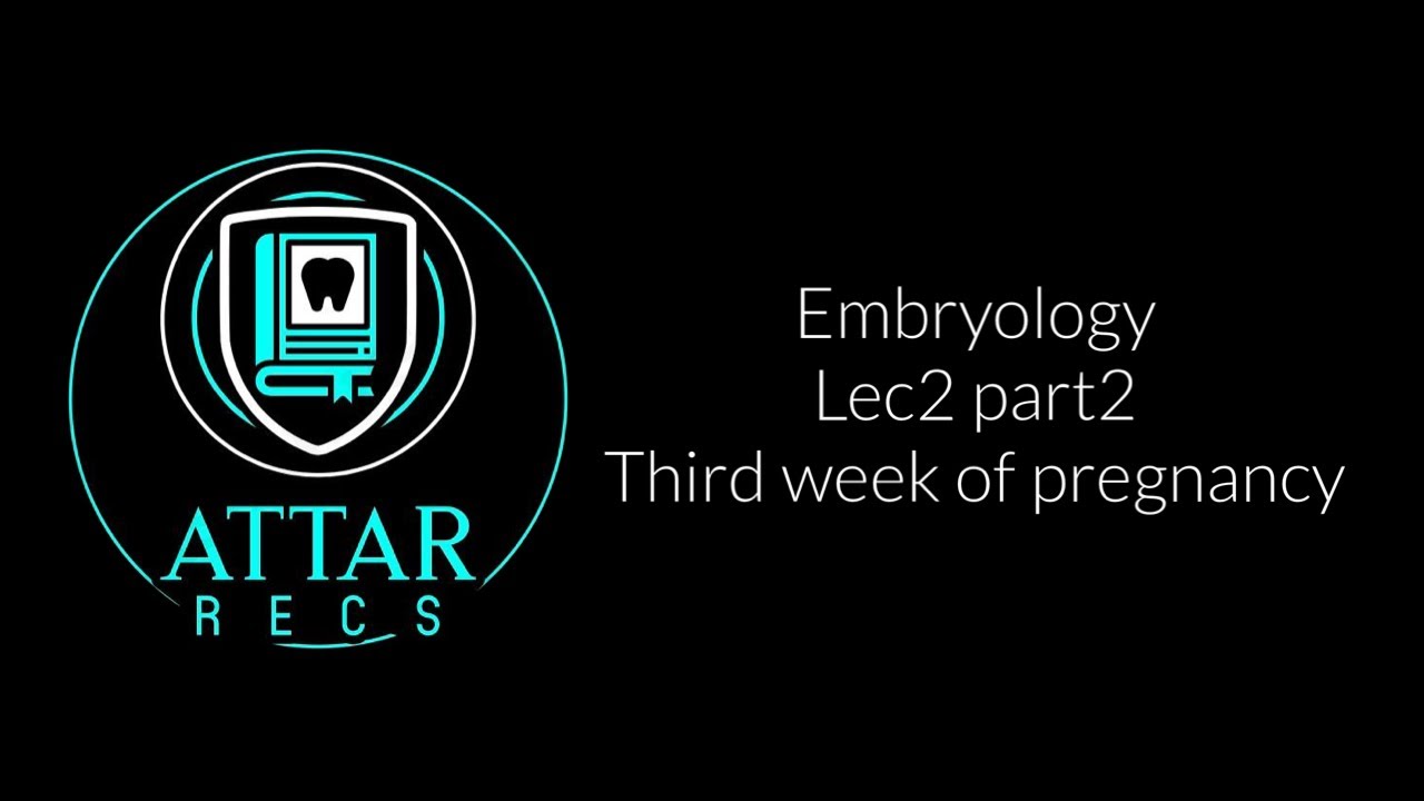 Embryology lec3 third week of pregnancy ￼