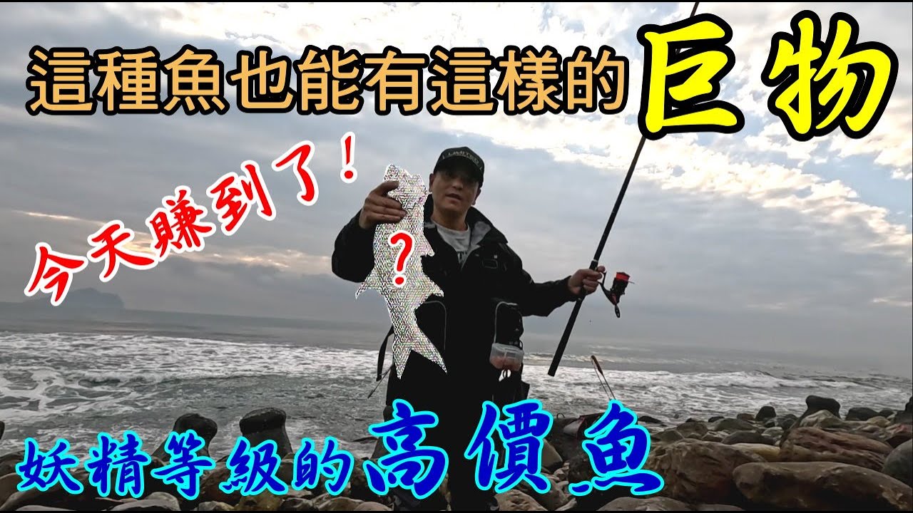 解鎖高價魚種巨物 沒看過這品種的高檔魚可以長到那麼大  #磯釣黑鯛#磯釣午魚#五絲午魚#五絲馬鮁