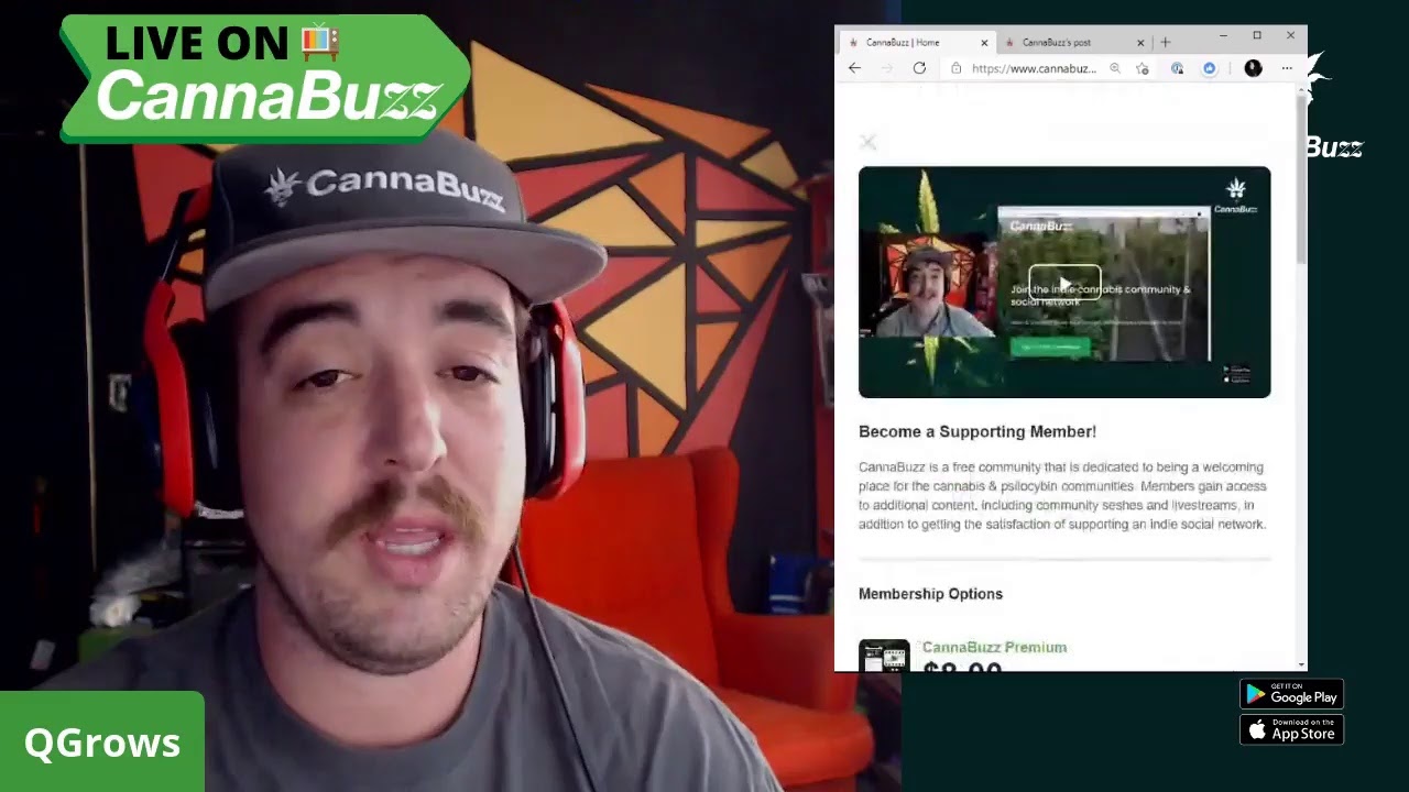 What's Coming Soon on CannaBuzz