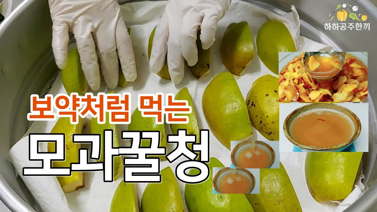 보약처럼 마시는 쪄낸 모과차 따뜻한 모과꿀청 만드는 법