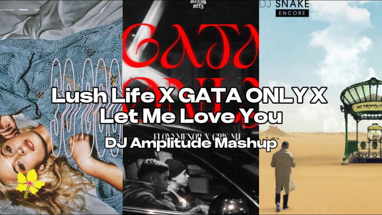 Lush Life X Gata Only X Let Me Love You [DJ Amplitude Mashup]
