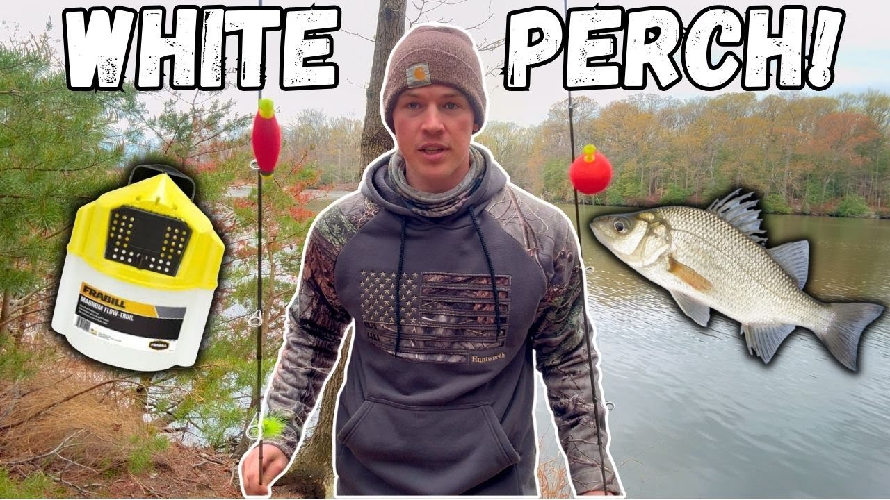 How To Catch WHITE PERCH In Tidal SALT PONDS! | CHESAPEAKE BAY FISHING!