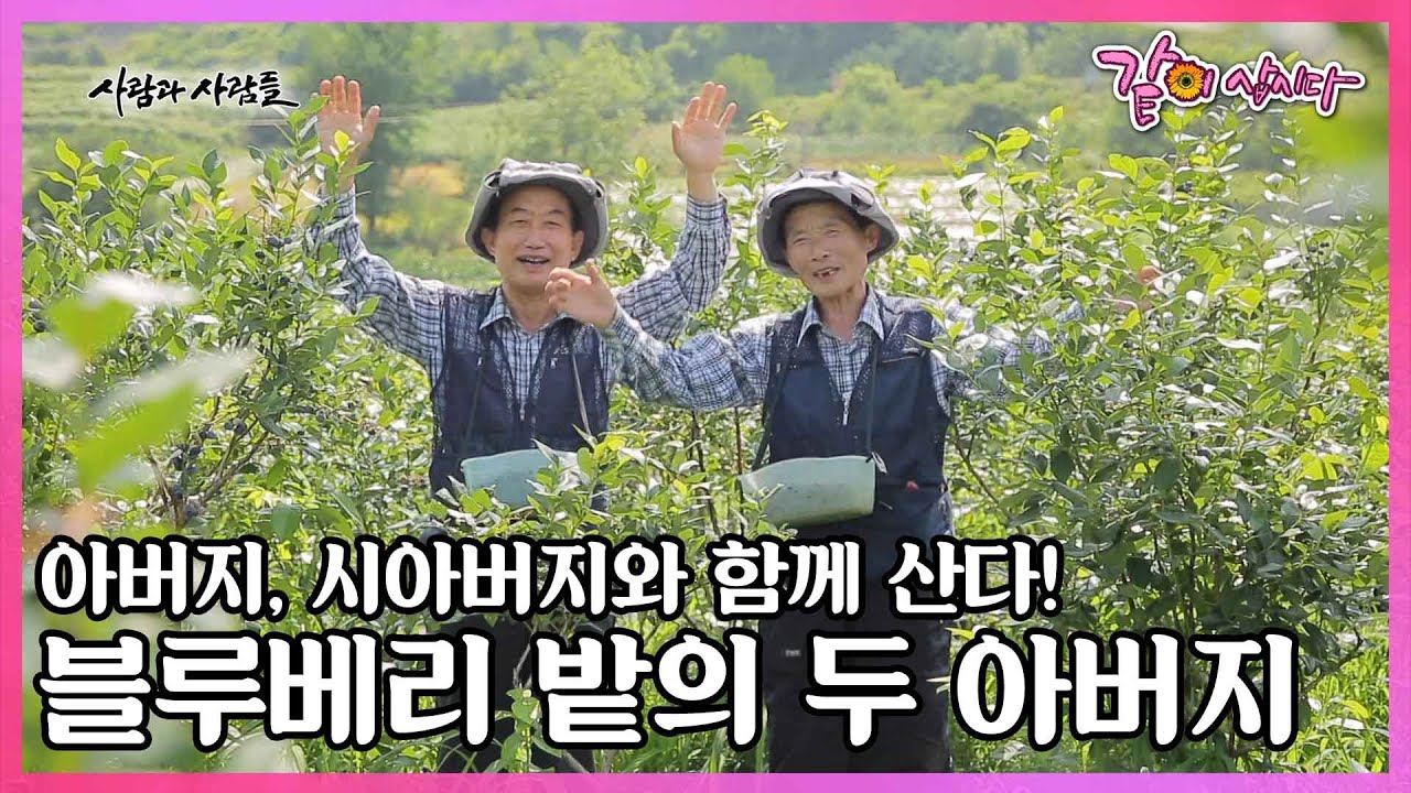 전라북도 무주, 싱그러운 블루베리 밭의 두 아버지를 모시는 며느리가 있다? I KBS 사람과 사람들 2017.08.09 방송