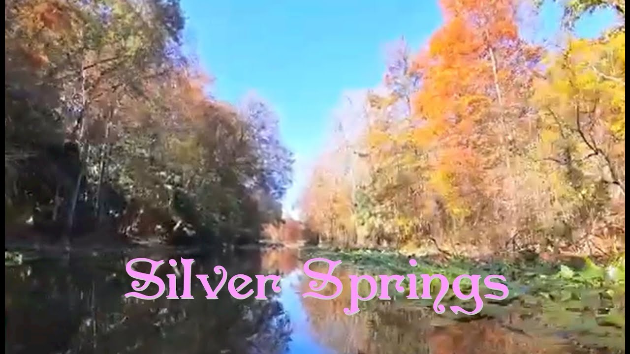 Kayaking Silver Springs State Park