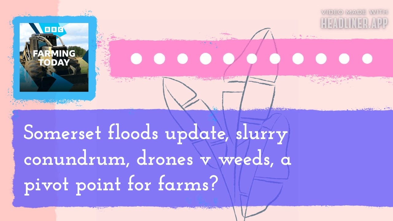 Somerset floods update, slurry conundrum, drones v weeds, a pivot point for farms? | Farming Today