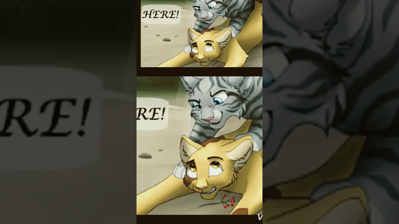 Jayfeather from @esper7247 #vore