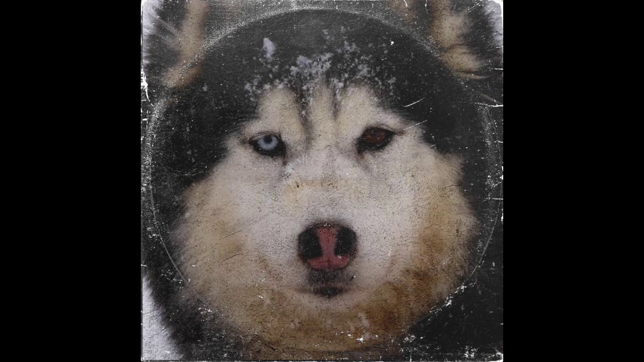 This When Dm 150bpm sample by @poolooloop