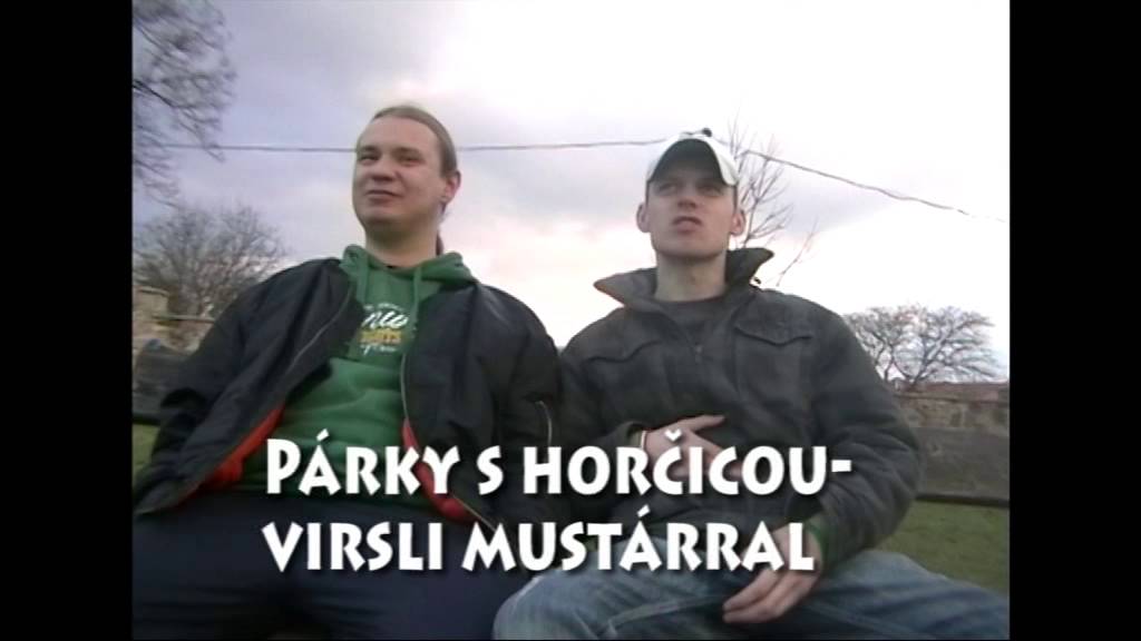 A felvid&eacute;ki magyar nyelv