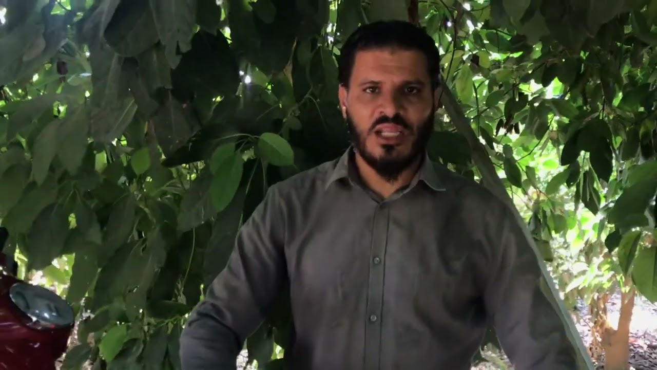 شد وتجديد ايطالي مارش