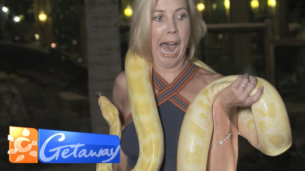 Catriona freaks out as python explores her | Getaway